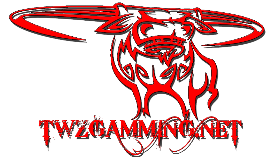 TWZ Gaming longhorn bull logo